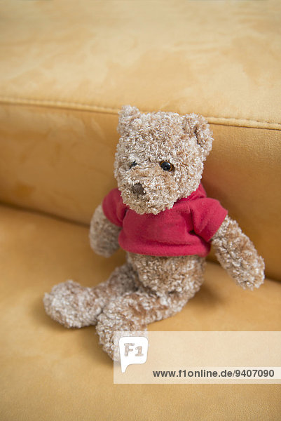 Teddy Teddybär Couch