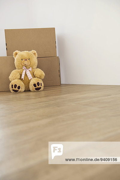 1 Teddy Teddybär Holzboden Pappschachtel Pappkarton Pappe
