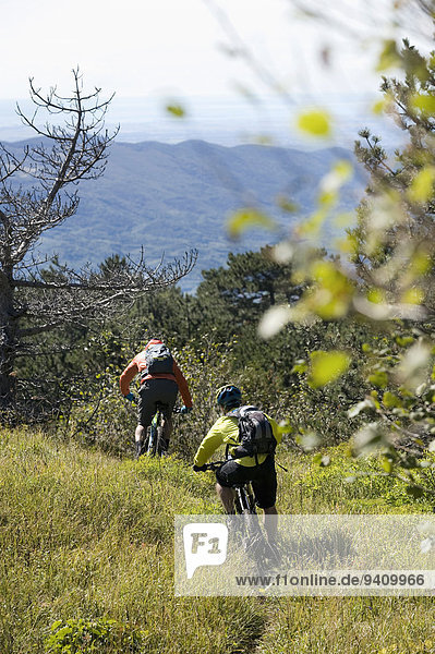 two mountain bikers on the way downhill  Vipava valley  Istria  Slovenia