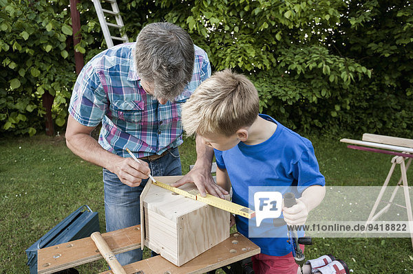 Measuring wood birdhouse building father son