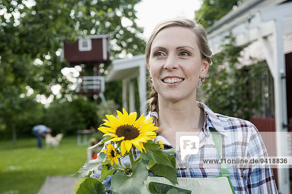 Sonnenblume helianthus annuus Portrait Frau lächeln halten