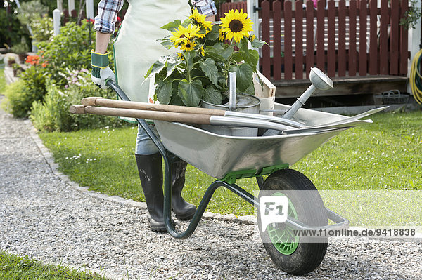 Detail woman pushing wheelbarrow garden