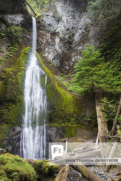 Wasserfall Marymere Falls im Olympic-Nationalpark  Washington  USA