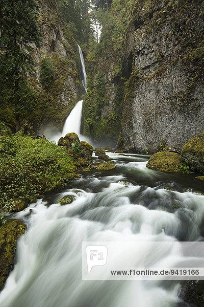 Wasserfall Wahclella Falls in der Columbia River Gorge Schlucht  Portland  Oregon  USA