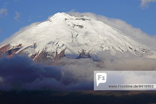 Schneebedeckter Gipfel des Vulkan Cotopaxi ragt aus einer Wolkenhülle  Provinz Cotopaxi  Ecuador