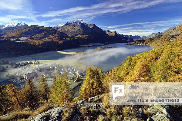 Ausblick auf Silsersee und Piz da la Margna im herbstlichen Oberengadin  Nebel liegt über dem Tal  Sils-Baselgia  Engadin  Graubünden  Schweiz