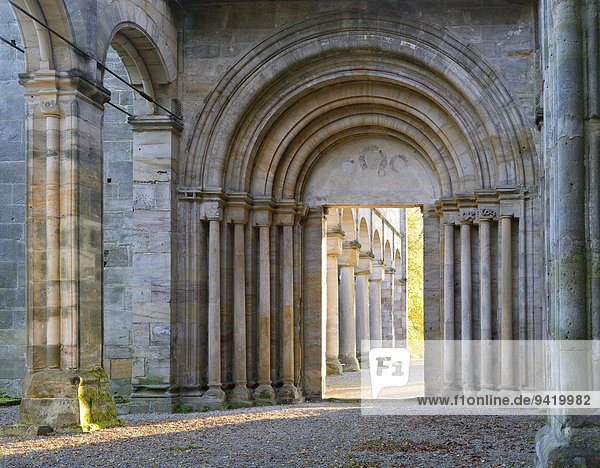 Portal  Ruine der Klosterkirche Paulinzella im Morgenlicht  Portal  Paulinzella  Thüringen  Deutschland