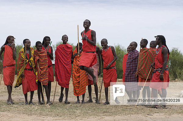 Traditioneller Masai Tanz als Vorführung  Masai Mara  Kenia