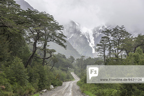 Carretera austral  rauhe Straße durch unberührte Natur  Cisnes  Región de Aysén  Chile