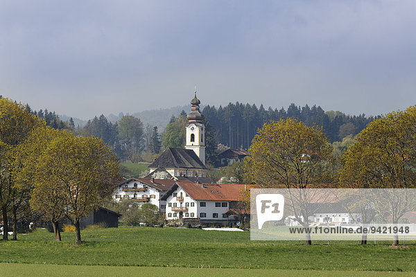 Heilig-Kreuz-Kirche Berbling Bad Aibling Oberbayern Bayern Deutschland