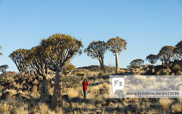 Frau fotografiert Köcherbäume  Karas  Namibia