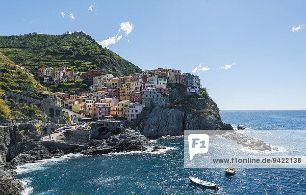 Bunte Häuser an Steilküste  Manarola  Riomaggiore  Cinque Terre  La Spezia  Ligurien  Italien