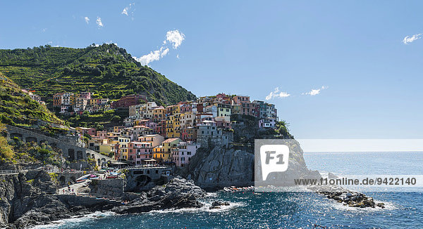 Bunte Häuser an Steilküste  Manarola  Riomaggiore  Cinque Terre  La Spezia  Ligurien  Italien