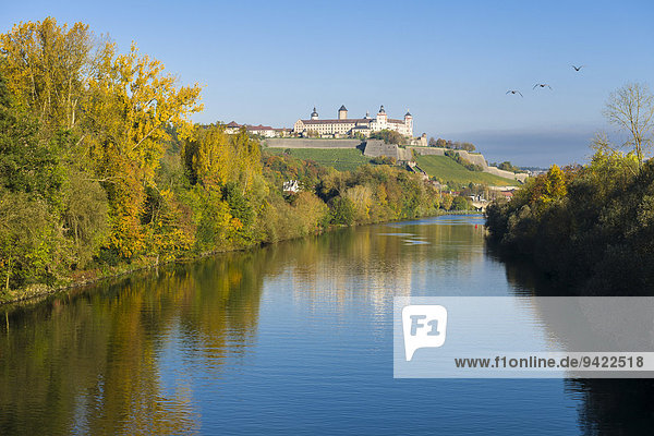 Festung Marienberg auf einem Hügel über der Stadt mit dem Main vorne im Herbst Würzburg Bayern Deutschland