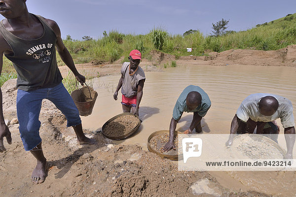 Diamond hunters searching for diamonds in a mine with sieves  near Koidu  Koidu-Sefadu  Kono District  Eastern Province  Sierra Leone