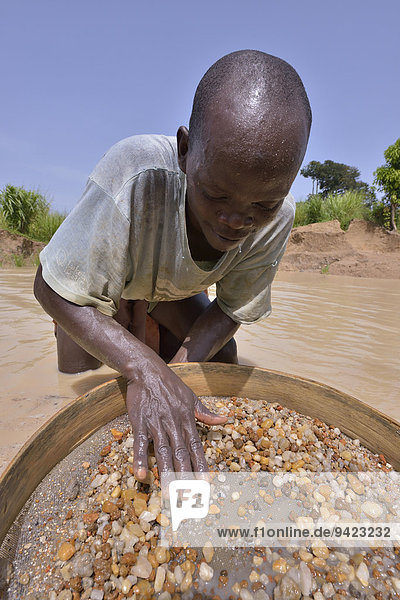 Diamond hunter searching for diamonds with a sieve  near Koidu  Koidu-Sefadu  Kono District  Eastern Province  Sierra Leone