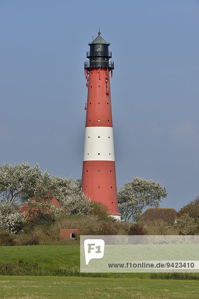 Leuchtturm  Insel Pellworm  Nordfriesland  Schleswig-Holstein  Deutschland