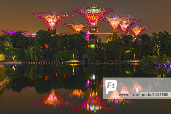 Supertrees  Gardens by the Bay  Wasserspiegelung bei Nacht  Singapur