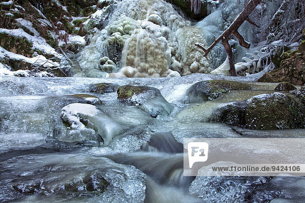 Frozen waterfall in the Black Forest near Falkau  Baden-Wuerttemberg  Germany  Europe