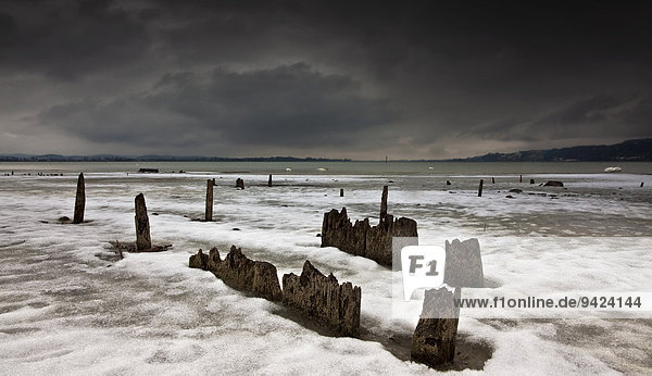 Remains of pile-dwellings at the lakeside of Hoeri peninsula in Lake Constance  Baden-Wuerttemberg  Germany