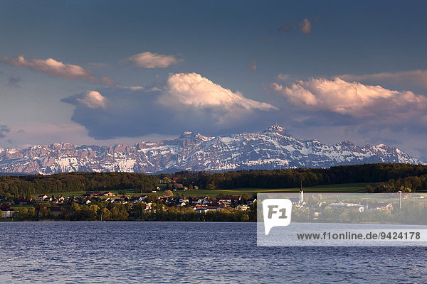 Aussicht von Konstanz am Bodensee zu den Schweizer Alpen  Alpstein  Säntis  Schweiz  Europa