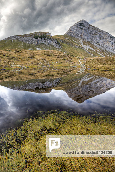 Seegras mit Spiegelung des Margelkopf in den Ostschweizer Alpen  Buchs  Schweiz  Europa
