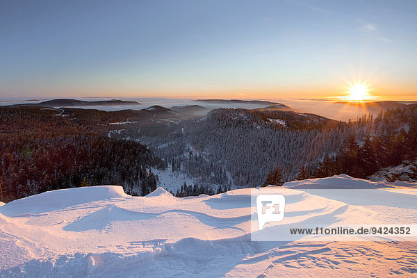Sonnenaufgang im Winter  Hornisgrinde im Schwarzwald  Baden-Württemberg  Deutschland  Europa