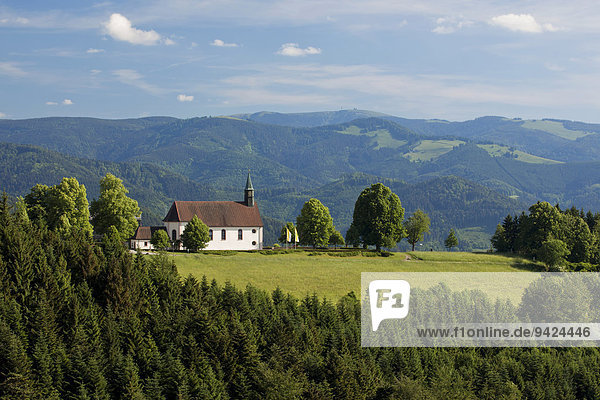 Schwarzwaldlandschaft bei der Kapelle Maria Lindenberg in St. Peter  Baden-Württemberg  Deutschland  Europa