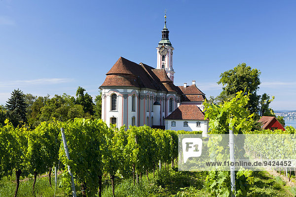 Klosterkirche Birnau im Sommer am Bodensee  Baden-Württemberg  Deutschland  Europa  ÖffentlicherGrund