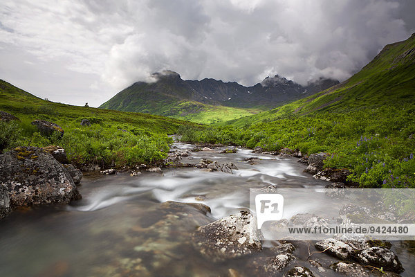 Gebirgsbach in den Talkeetna Mountains in Alaska  USA  Nordamerika