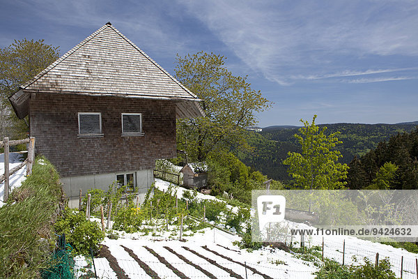 Bauernhof im Frühling mit Schnee auf dem Kandel im Schwarzwald  Baden-Württemberg  Deutschland  Europa  ÖffentlicherGrund