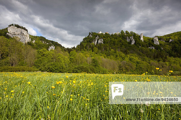 Blick vom Donautal auf die Burg Wildenstein mit Felsen  Leibertingen  Baden-Württemberg  Deutschland  Europa