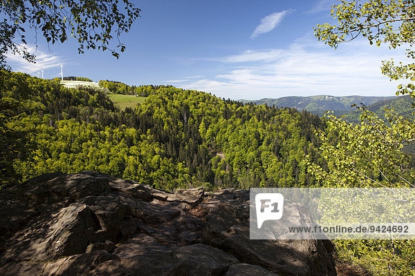Blick vom Hohenwartsfelsen im Simonswäldertal im Schwarzwald  Baden-Württemberg  Deutschland  Europa