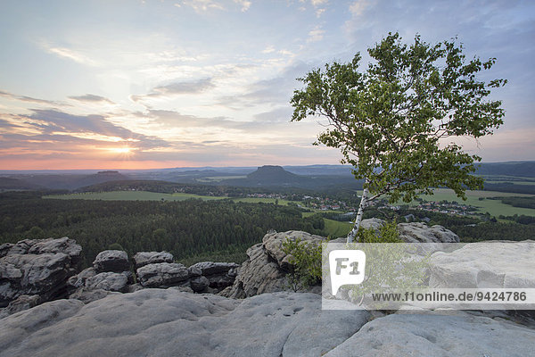 Evening mood on Mt Gohrisch with sunset  Elbe Sandstone Mountains  Saxony  Germany  Europe