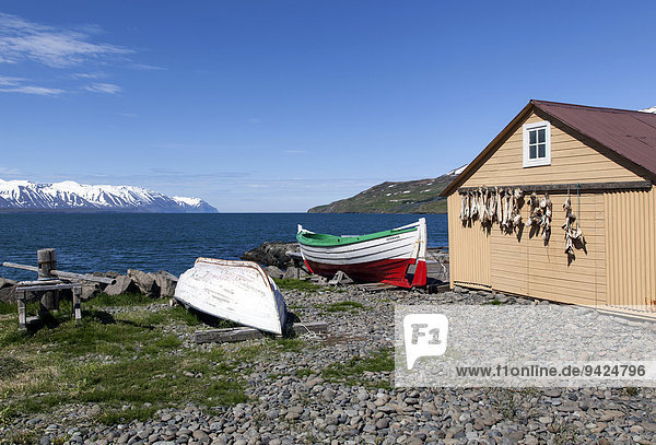 Fischerhütte mit Booten und Meer  Grenivik  Island