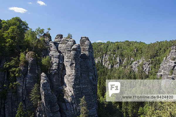 Felsformation bei der Bastei im Elbsandsteingebirge  Sachsen  Deutschland  Europa
