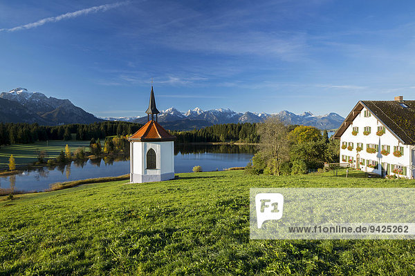 Kapelle und Hegratsrieder See an einem Herbstmorgen  Ostallgäu  Bayern  Deutschland