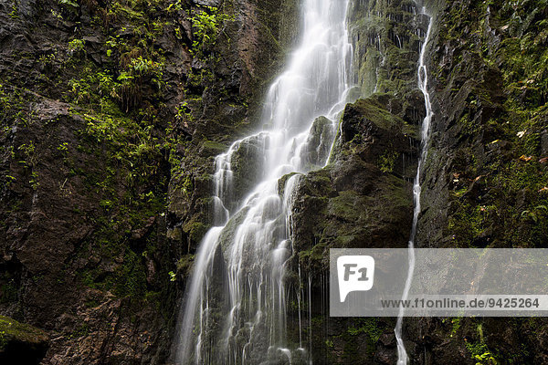 Wasserfall im Wald, Burgbachwasserfall, bei Schapbach, Schwarzwald, Baden-Württemberg, Deutschland
