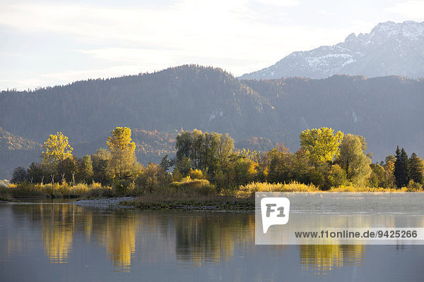 Herbststimmung mit Bergblick am Forggensee bei Füssen  Ostallgäu  Bayern  Deutschland