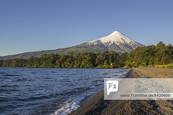 Osorno volcano and the shore of the bay of Lake Llanquihue  Puerto Varas  Los Lagos Region  Chile