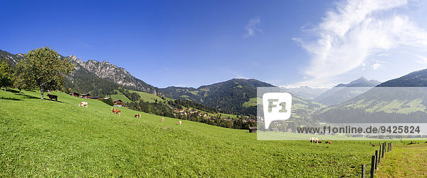 Panorama  Kitzbüheler Alpen  Alpbachtal  Alpbach  Tirol  Österreich