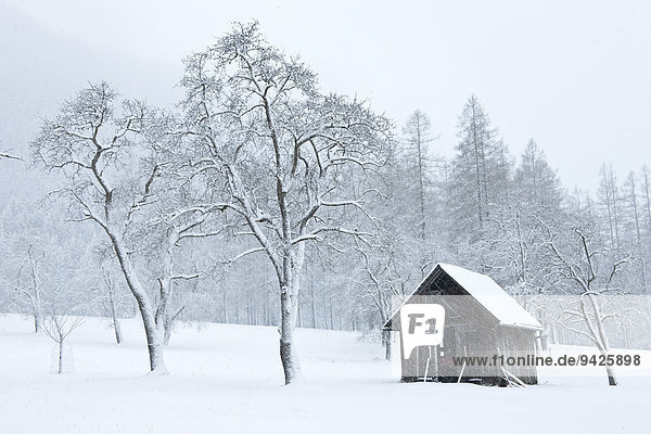 Hütte im Schnee  Almtal  Österreich