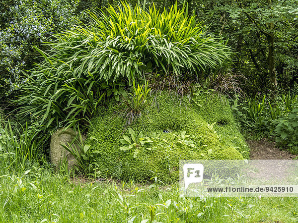 Figure made of plants in the Lost Gardens of Heligan  Cornwall  England  United Kingdom