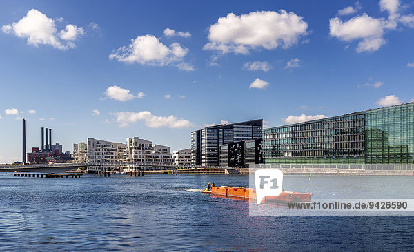Moderne Stadtwohnungen und Bürogebäude am Kopenhagener Hafen  Kopenhagen  Dänemark