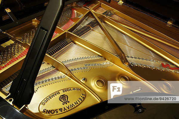 Piano,  Flügel Steinway & Sons