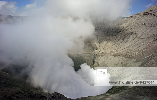 Vulkan  Kraterrand  Dampf  Mount Bromo  Cemoro Lawang oder Cemorolawang  Jawa Timur  Indonesien