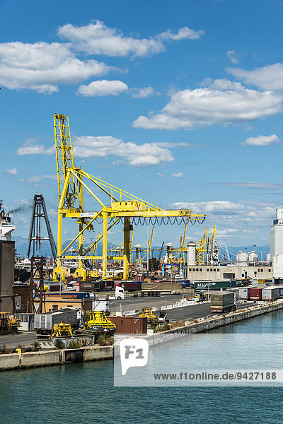 Hafenkran mit Containern,  Frachthafen von Livorno,  Toskana,  Italien