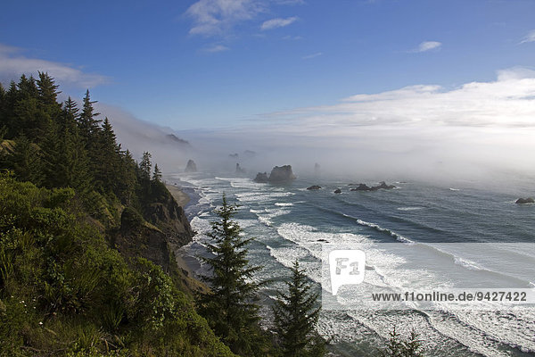 Meer  Brandung  Wellen  Nebel  Küste  bei Brandon  Oregon  USA