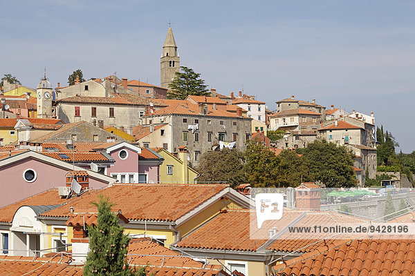Altstadt von Lubin  Istrien  Kroatien