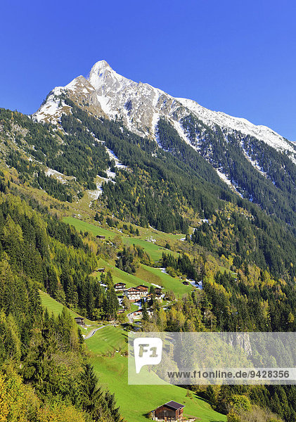 Mit Neuschnee bedeckter Gipfel  Brandberger Kolm  2700m  Brandberg  Zillertal Alpenhauptkamm  Tirol  Österreich